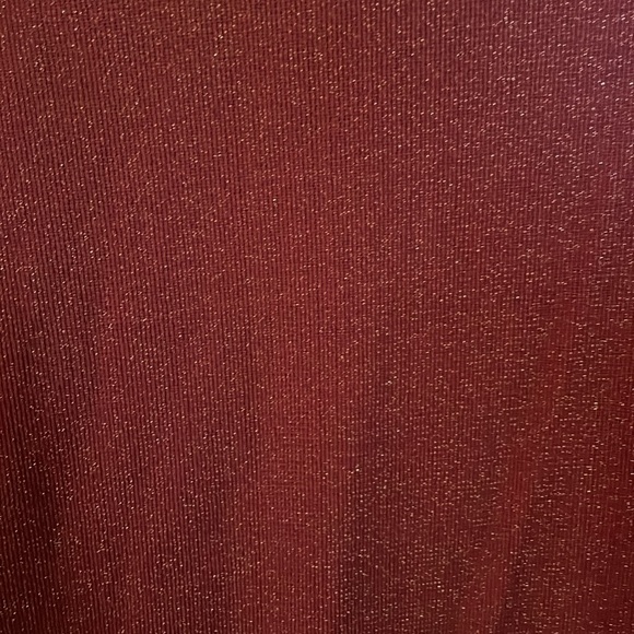 EUC Wild Fable Sparkle Mesh Bodycon Midi Dress - Picture 5 of 5